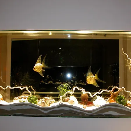 Hotel San Francisco 3*